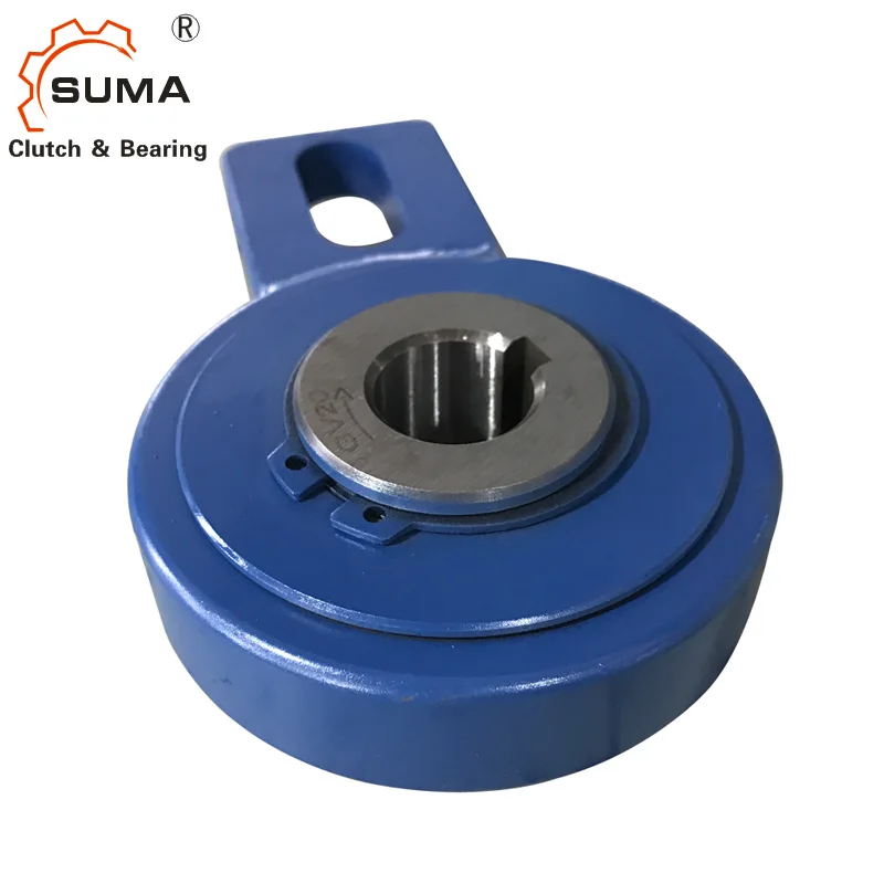 
GV50 China Manufacturer One Way Bearing Backstop 