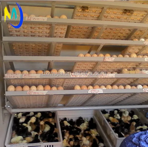 
hot sale!!! 5000 egg incubator machine egg incubator thailand for sale 