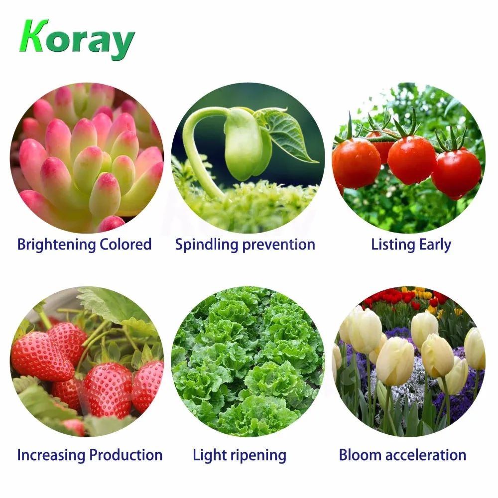 Светодиодное освещение для выращивания растений, полный спектр, для многослойных систем выращивания овощей