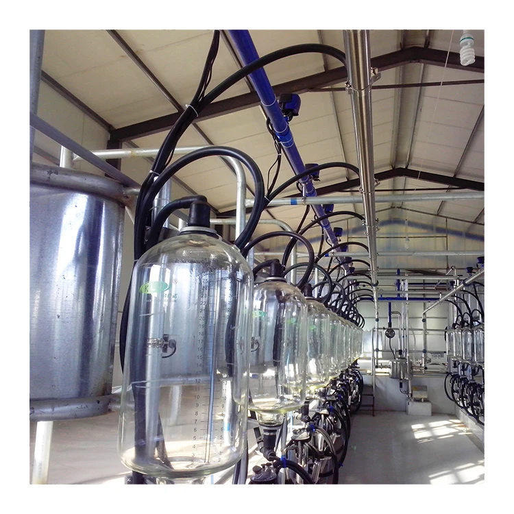 Hot sale automatic milking system cow milking parlour