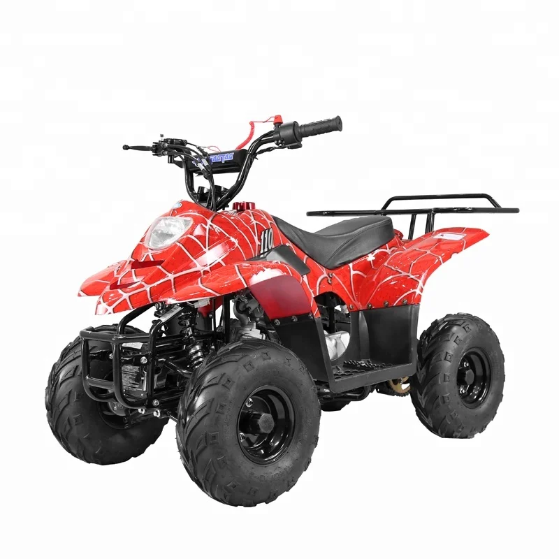 Tao Motor ATA110-B1 110cc Kids ATV for sale