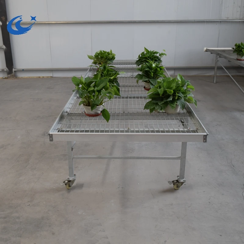 Greenhouse Welded Wire Mesh Rolling Bench(standard size:2.5m*1.65m*0.75m)