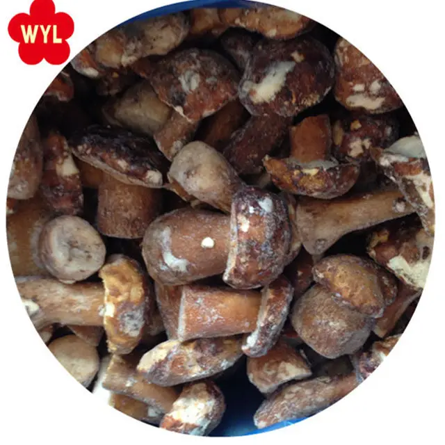 
china good price IQF Frozen Mushrooms Boletus Edulis 