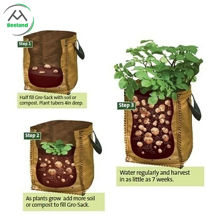 Manufacturers promote low-cost gardening bags of various vegetables