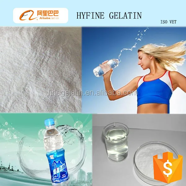 
Hot selling protein powder for amino acids beverage 