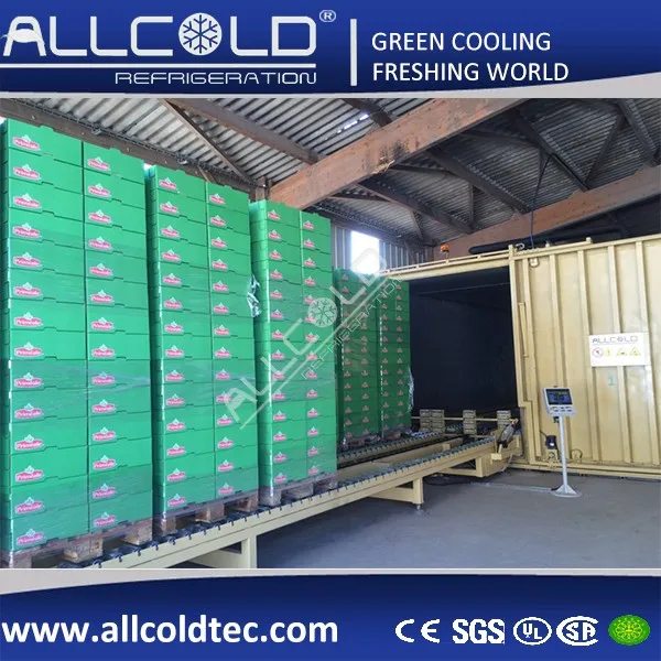 Allcold Vacuum Chiller Pre Cooler for Leafy Vegetables/Broccoli/Cauli Flower/Mushrooms