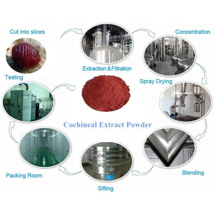 Top Quality Cochineal Red Extract Powder Carmine Food Dye with MOQ 1KG