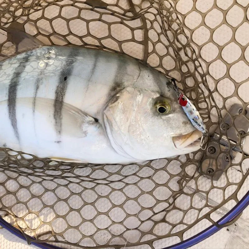 ALLBLUE 3g 5g 7g 10g DRAGER MICRO Shore Fishing Casting Jigging Micro Metal Jig Lure