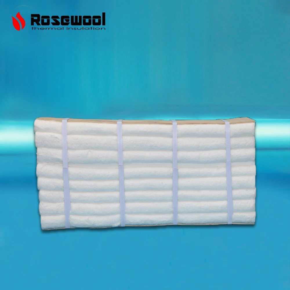 Ceramic fiber module