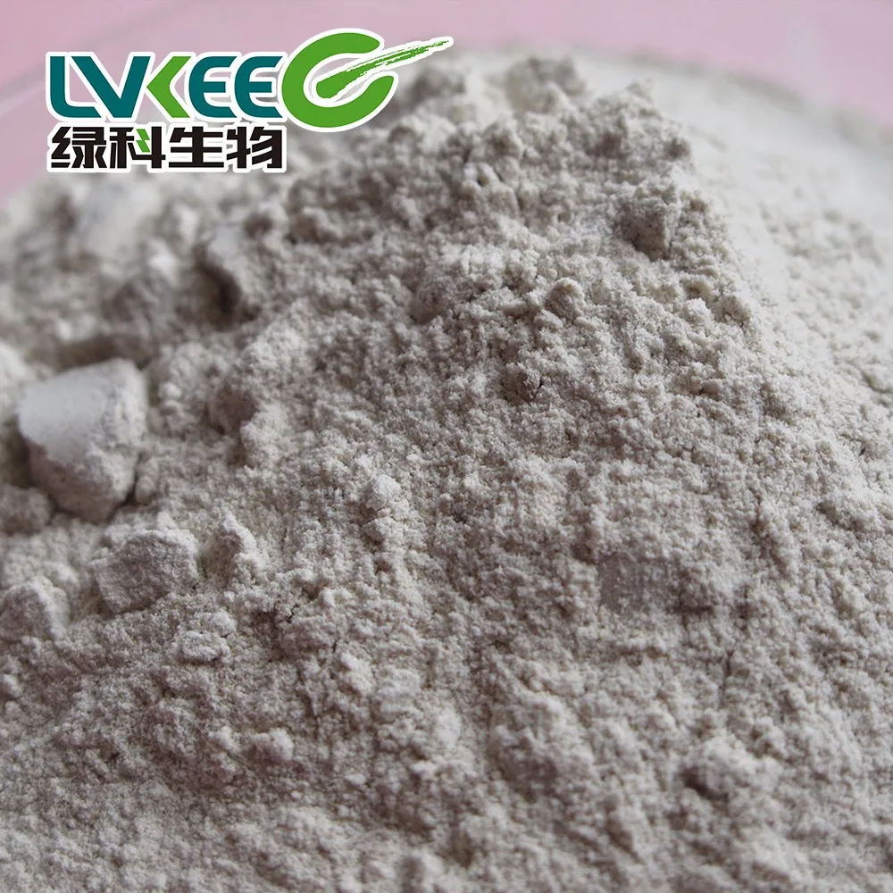 high quality Probiotics Bacillus Subtilis 500 billion cfu/g for fish farming