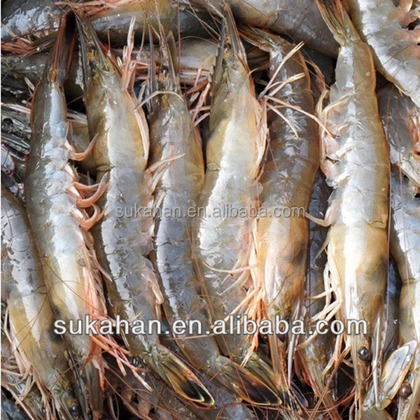 Добавка для пробиотиков жидких удобрений для рыбы