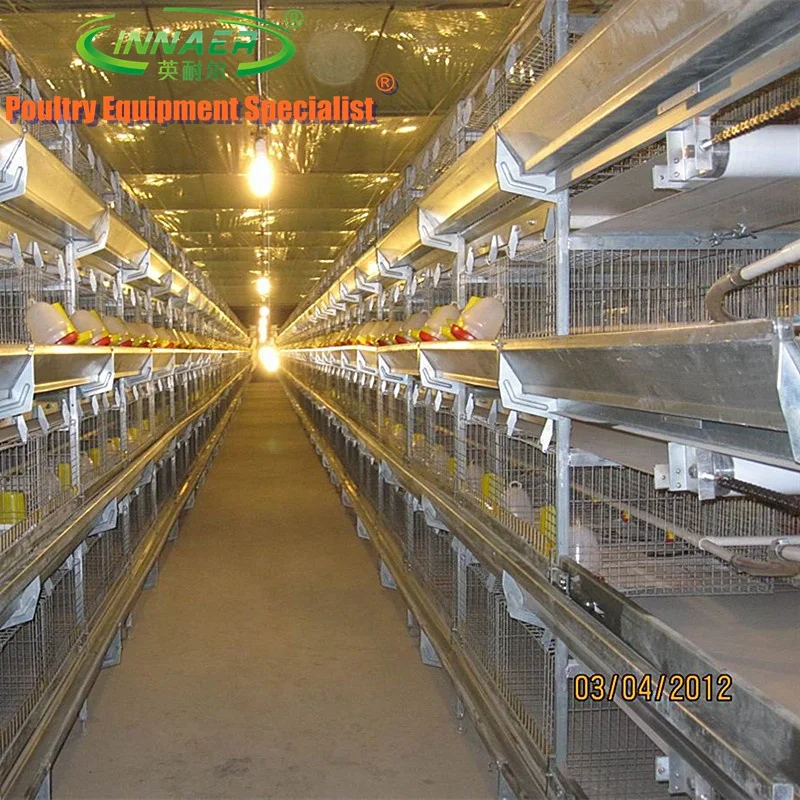 second hand layer poultry cages