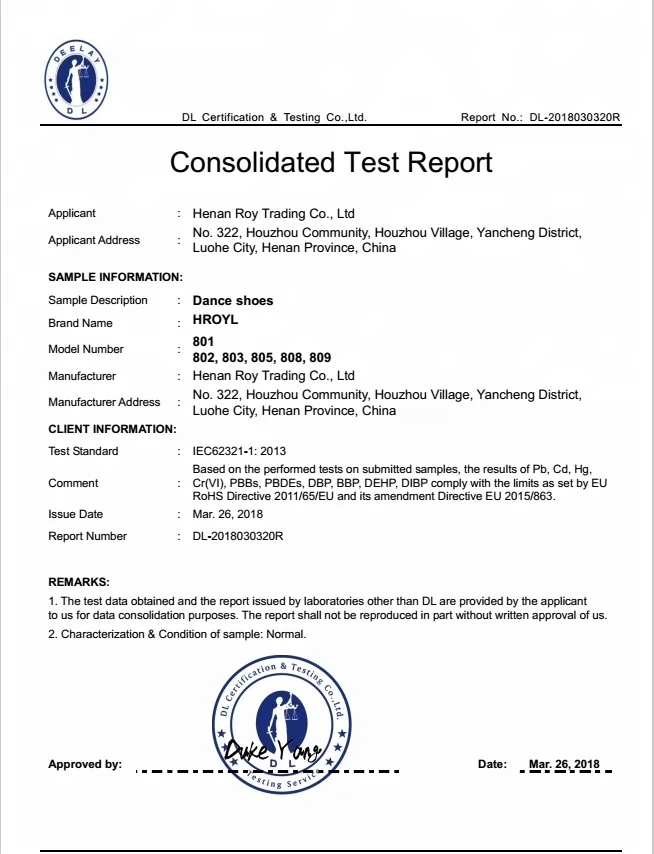 801 Ballroom salsa tango Latin irish dance shoes women wholesale