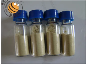 
100% Pure Bee venom Apitoxin For Sale/Bee Venom Price 