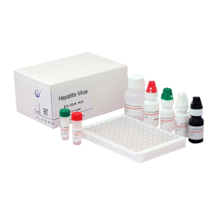  CE ISO медицинский прибор для анализа крови hev igm elisa тест-комплект/elisa