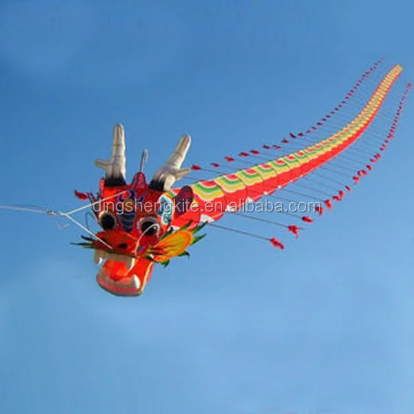 Professional large 3d flying dragon kite