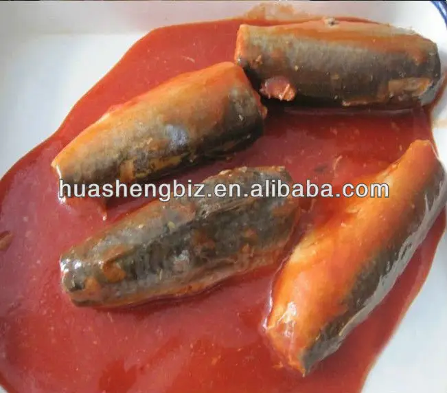 canned horse mackerel fish