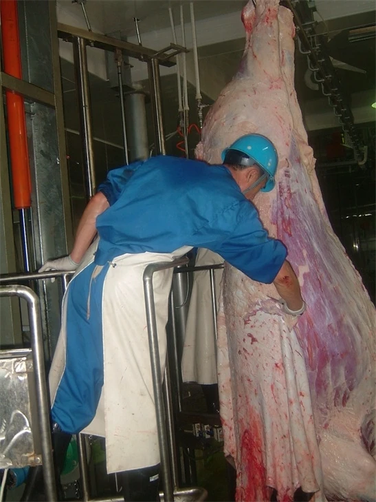 
10-30 Per day Cattle Butcher Line for Meat Beef Production Processing 