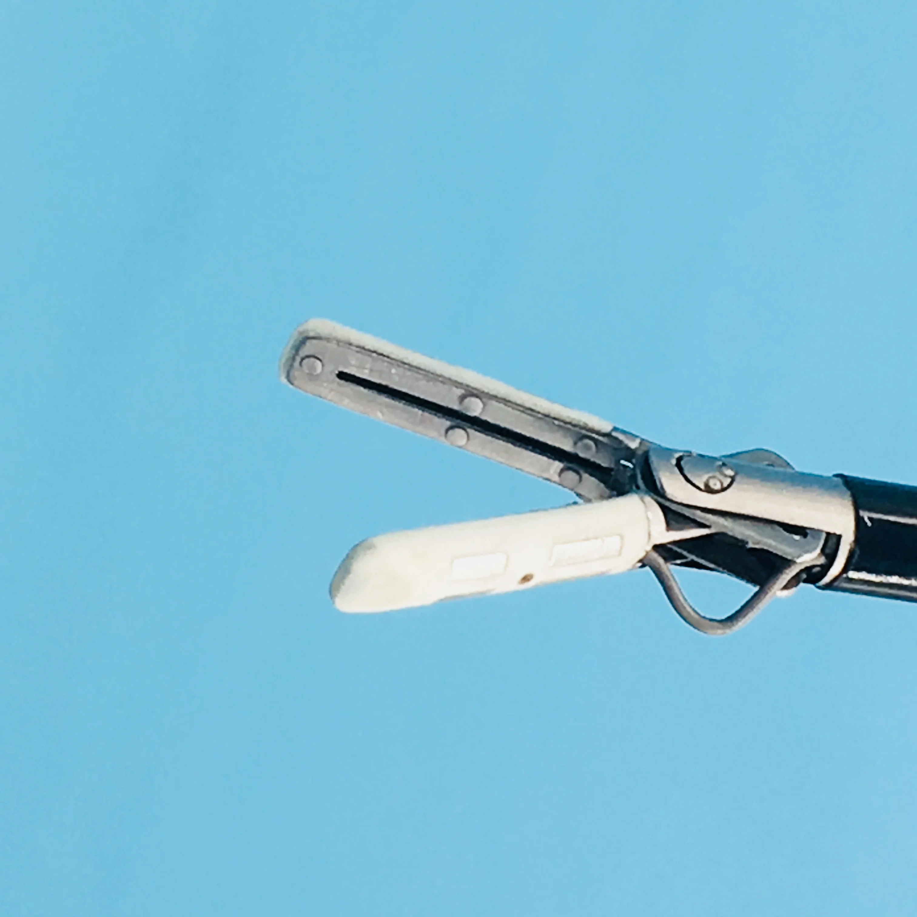 For animals Nondetachable bipolar coagulation electrodes