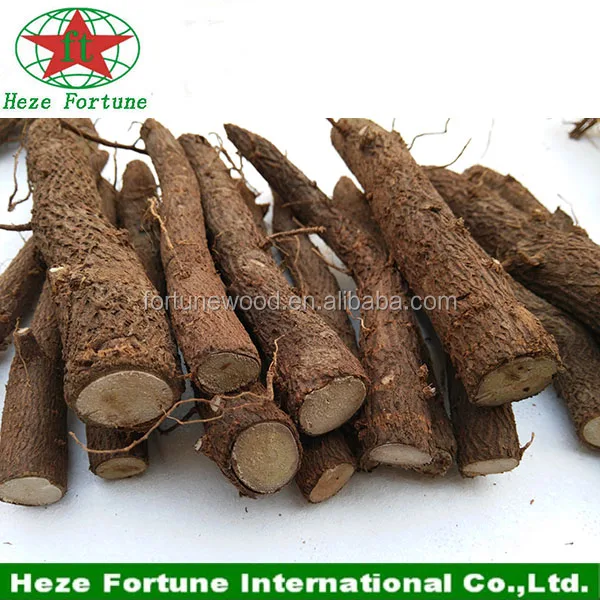 
Newest hybrid paulownia shan tong 4 root seeds for plantation 