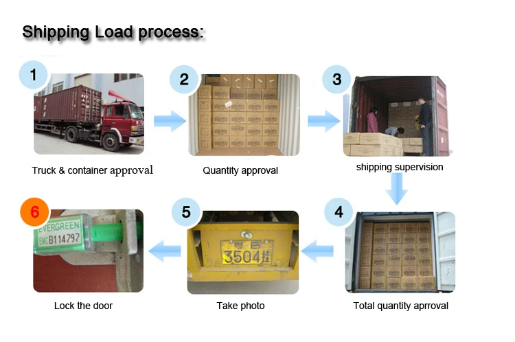 Candy Color Series OEM 500ml Double Stainless Steel Vacuum Sport Leak-Proof Bottle Cola Shape Water Bottle