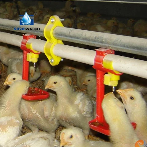 water pressure regulator for broiler cages chicken farm