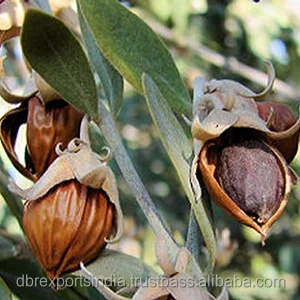 100% Jojoba oil (golden)