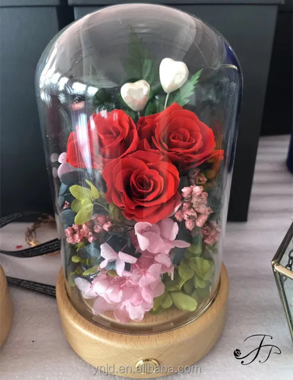 
Unique LED Gifts JJ Preserved Roses in Glass Dome 