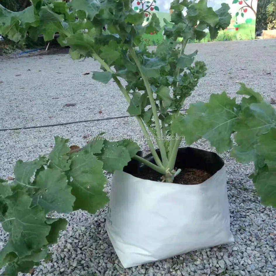 Пакеты для выращивания органических овощей