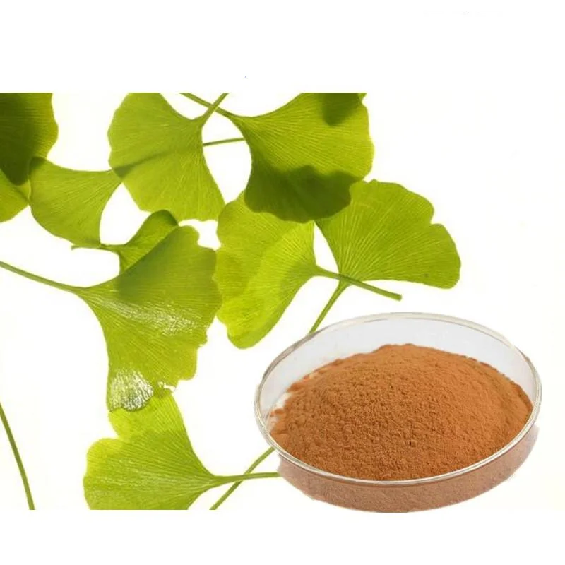 ginkgol biloba extract.jpg