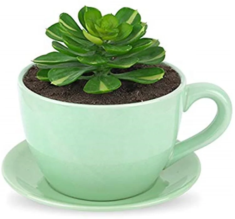 Italian style wholesale green glazed decorative bonsai ceramic pot for plants