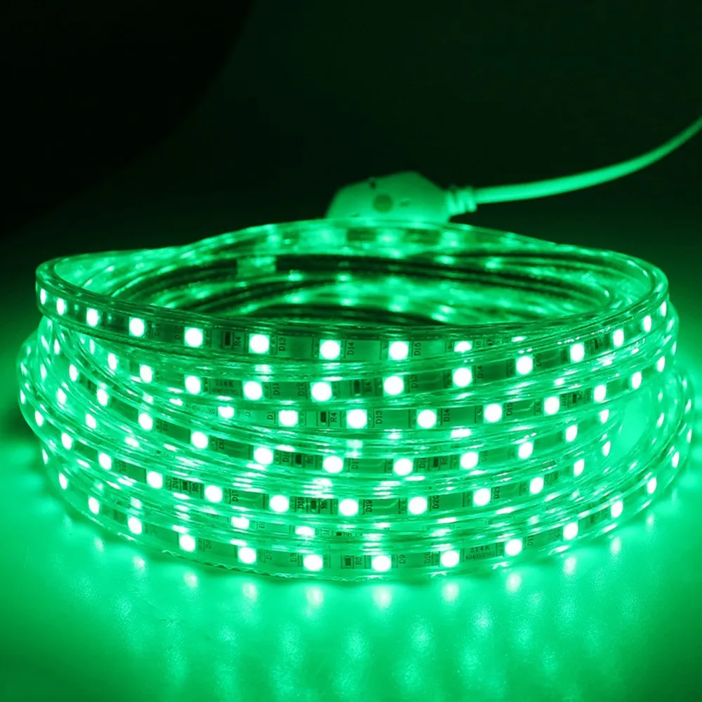 YL LED Strip 5050 Waterproof IP67 Waterproof AC 220V LED Flexible Strip ...