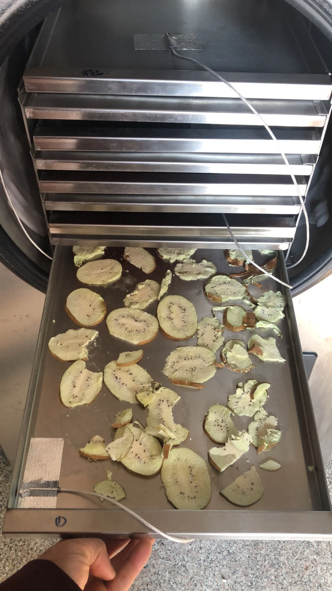 
New Generation 0.6m2 (square) Home Application Fruit Vacuum Freeze Dryer Lyophilizer 