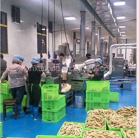 Машина для Обработки Картофельных Чипсов TCA, кассава