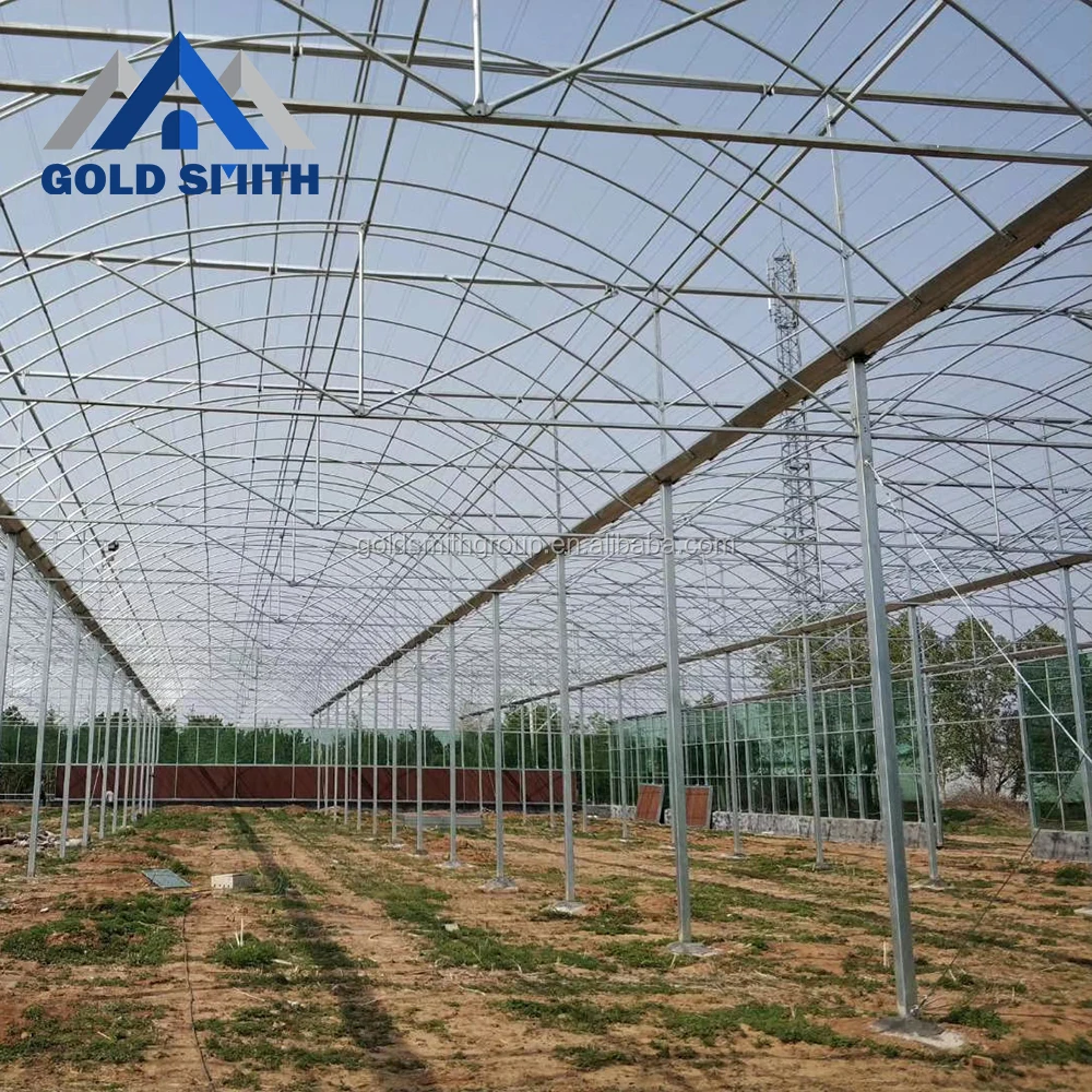 Commercial Multi-span Film Tunnel Agriculture Greenhouse with Hydroponic System