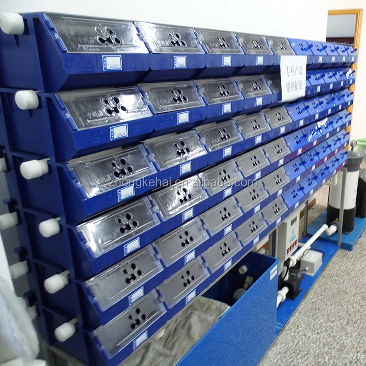 
mud crab breeding system 