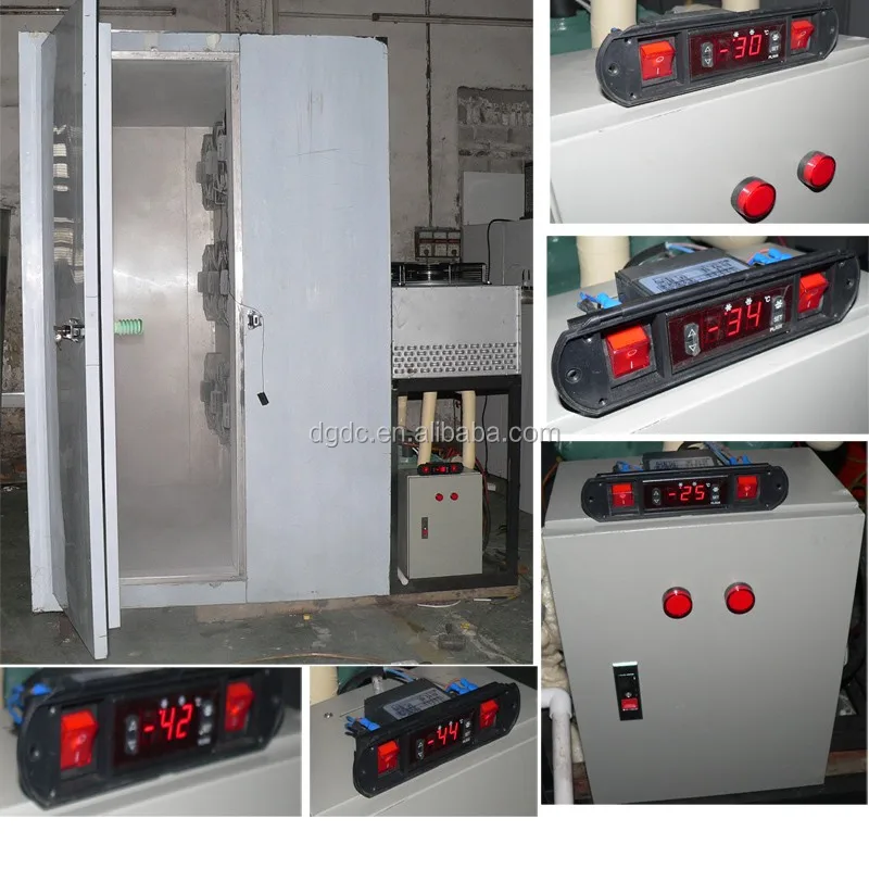 Instant Freezer for 300kg Strawberry Freezing