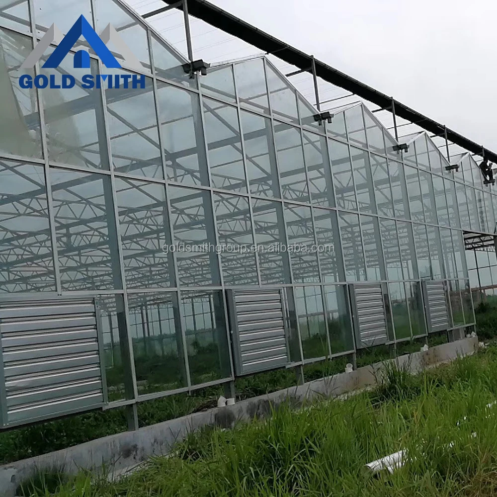
Professional Venlo Type Hot Galvanized Steel Pipe Greenhouse with Intelligent Self-controlSystem 