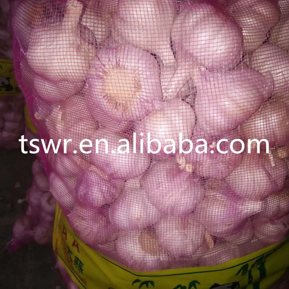 
high quality fresh gralic best price garlic white garlic 