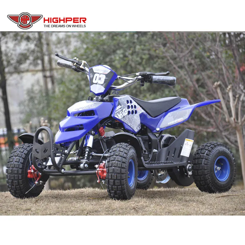 36V 800W Electric Quad with 3 Speed Limit