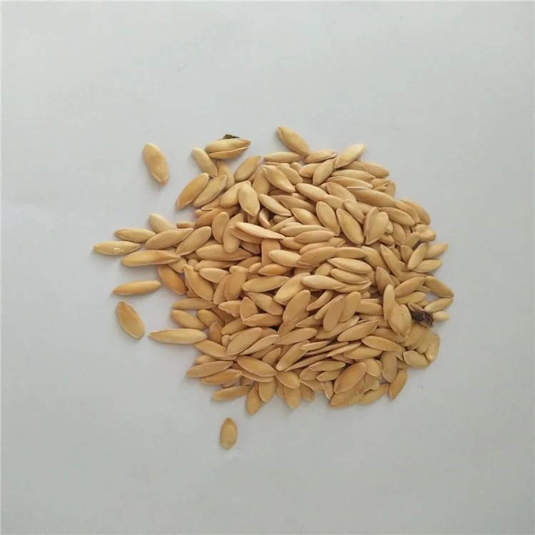 High sugar content melon hybrid melon seeds vigorous growing