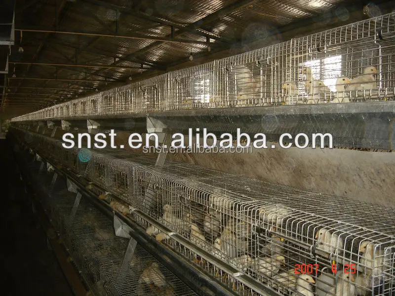 
Chicken layer battery cage for layer chicken popular in Africa market 