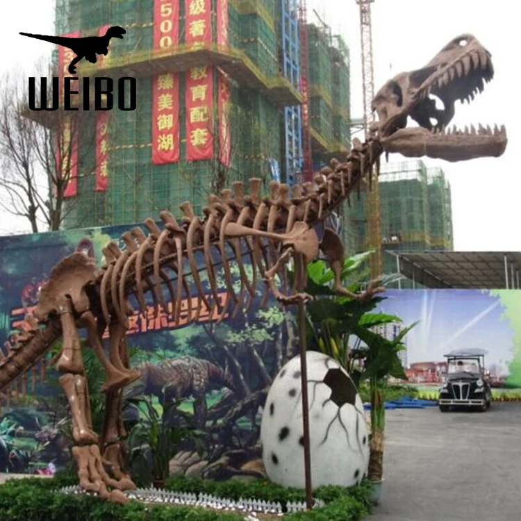 Музей искусственный моделирования в натуральную величину Окаменелости Динозавров Скелет