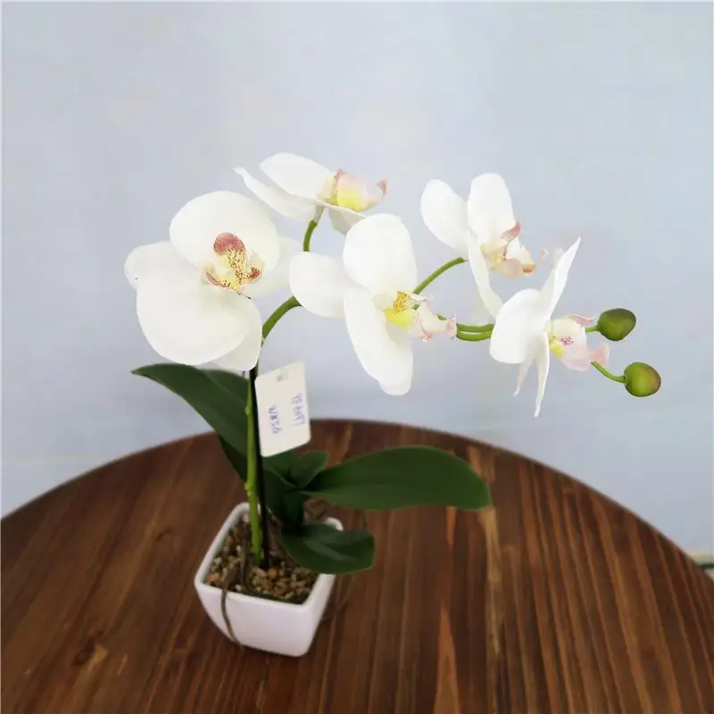 52cm Simulation White Phalaenopsis Orchid with Pot and Leaves