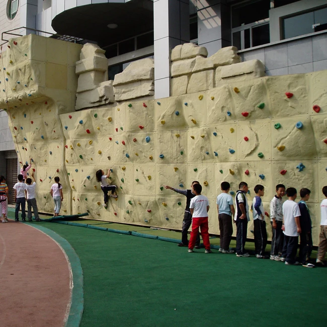 Rock monkey climbing holds for indoor wall climbing
