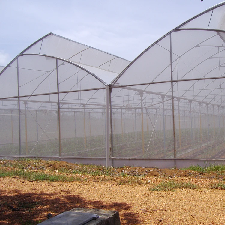 Low Cost Fixed Poly Tunnel Seed Greenhouse For Vegetable
