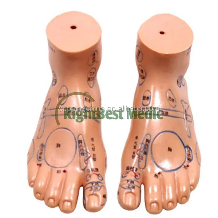 17CM English Medical Acupuncture Model Foot for traditional Chinese therapy medical science Reflexology Zone Model Right &Left