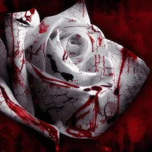 150 Seed Rarest White Blood Rose Plant Flower Seeds, Flower Garden Asaka Rare True Blood Rose seed