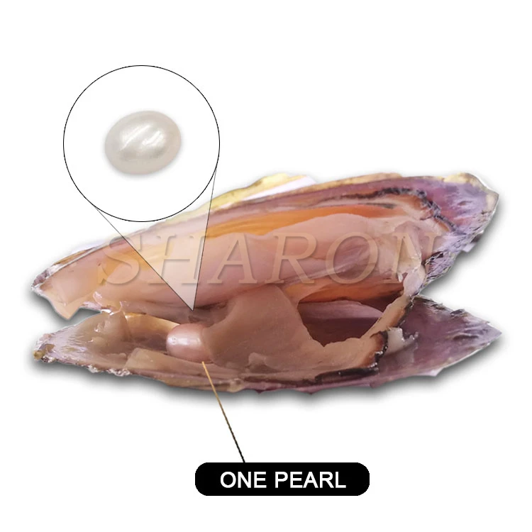 Party Surprise Gift 6-7mm Cultured Fresh Water Mussel Oval pearls Oyster Shell