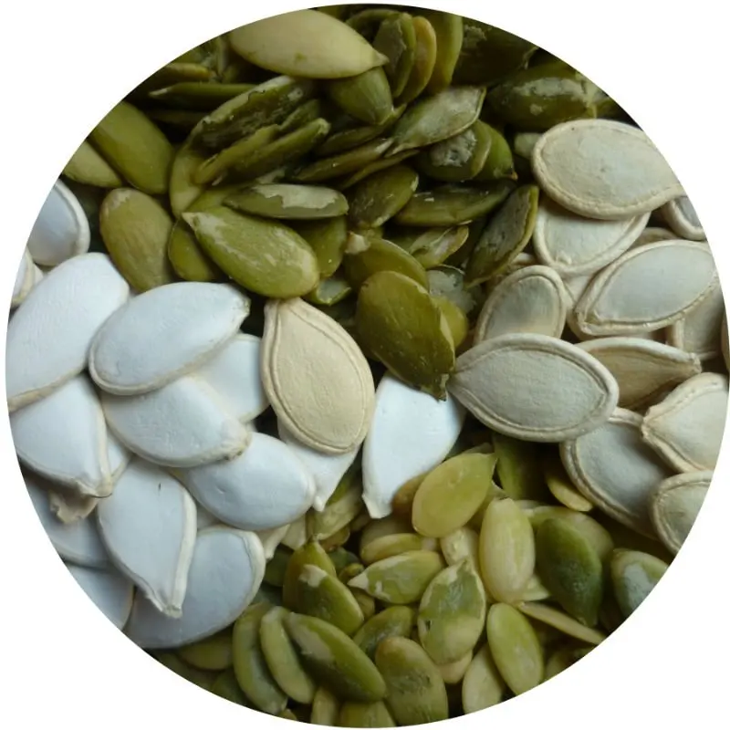 
snow white pumkin seeds from China 